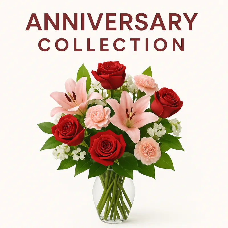 collection-image