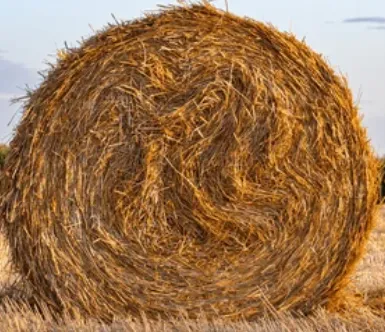 Straw Bales