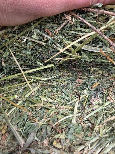 108 Alfalfa Rounds