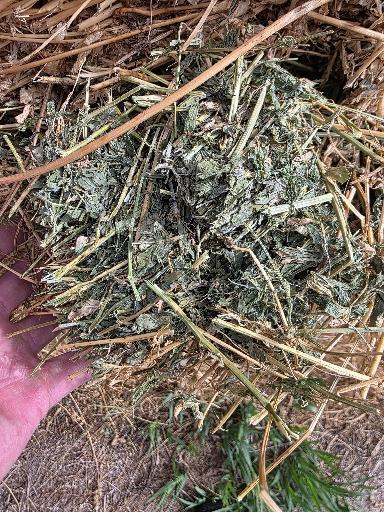 106 Alfalfa Rounds Perfect Hay