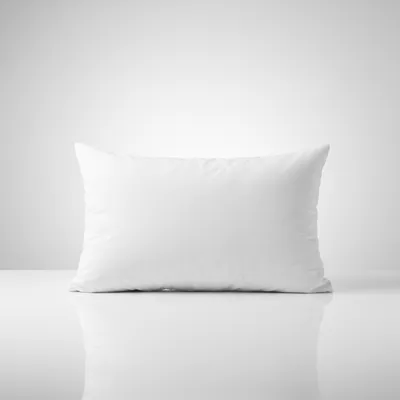 Plush 1800g Microfiber Pillow with Downproof Fabric