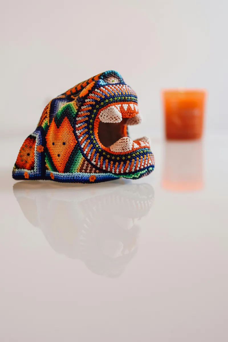 collection-image
