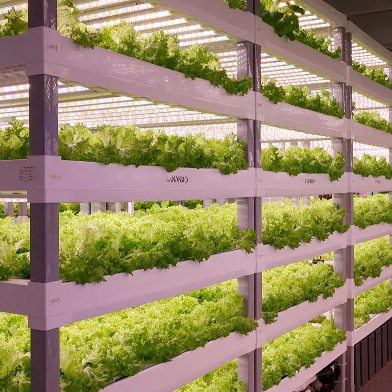 Radix System for Growing