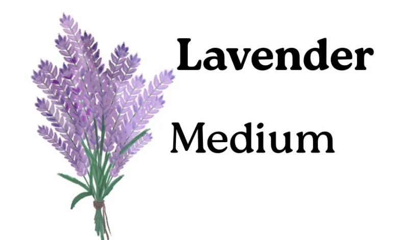 ecommerce.upsell.product_image_alt