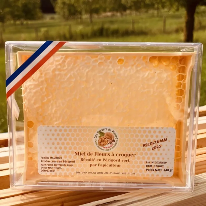 Miel de fleurs de printemps 2026 à croquer – Rayon du Périgord Vert