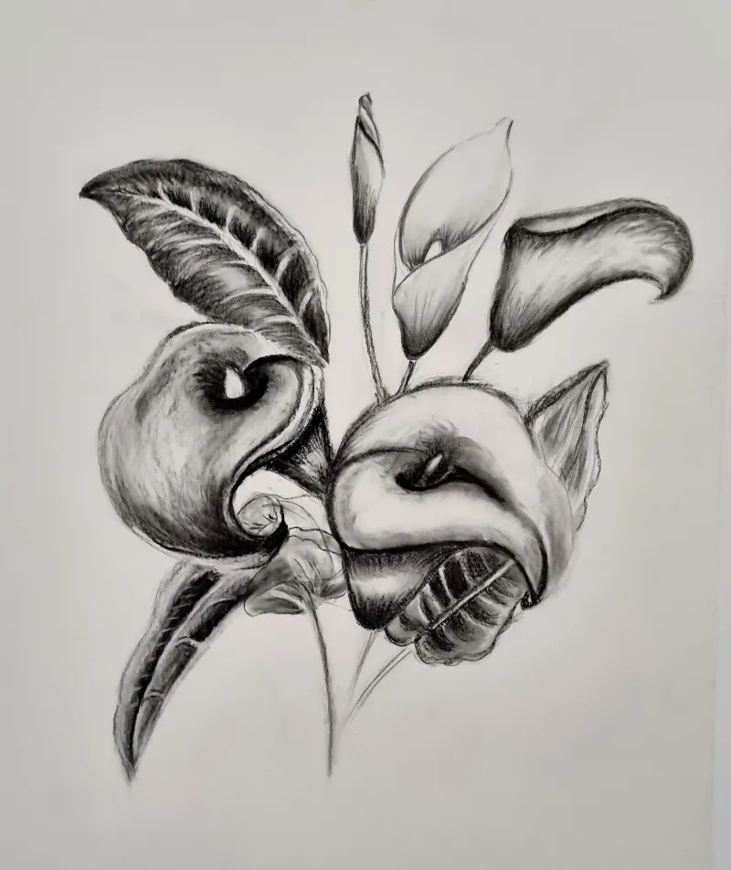 collection-image