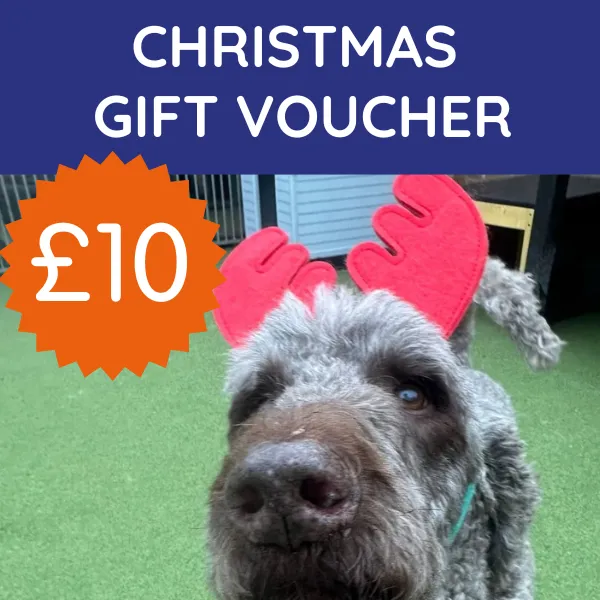 ecommerce.upsell.product_image_alt