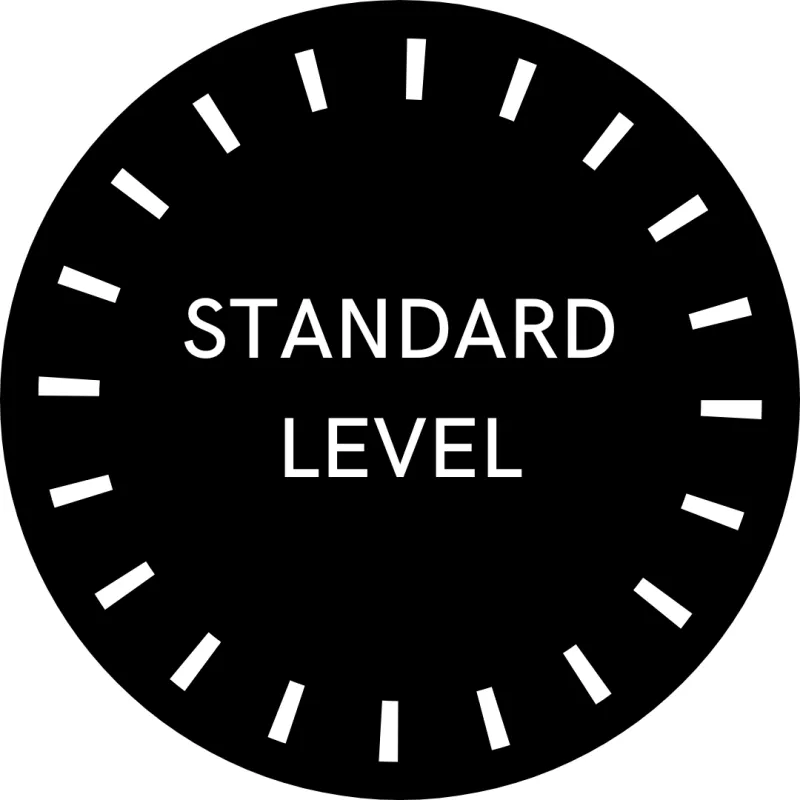 Standard Moissanite Watches