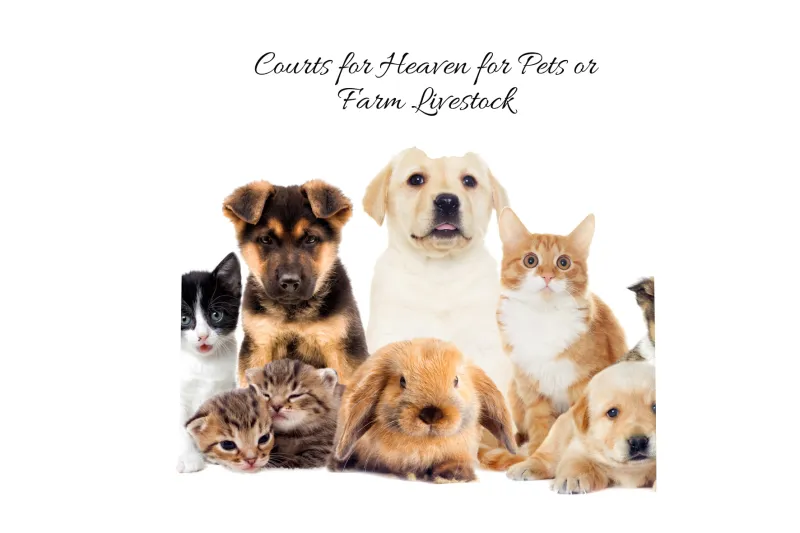 ecommerce.upsell.product_image_alt