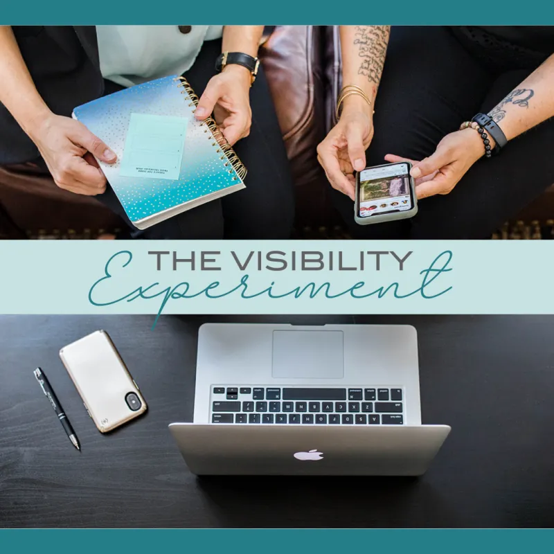 The Visibility Experiment