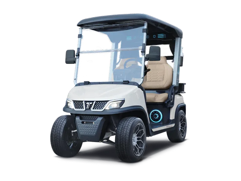 Tara EV Roadster 2