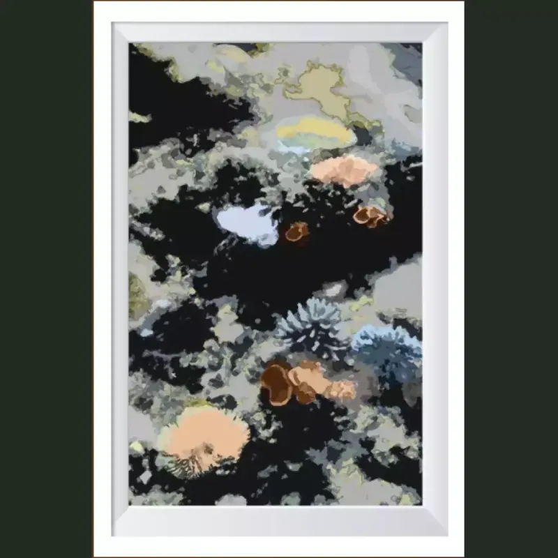 collection-image
