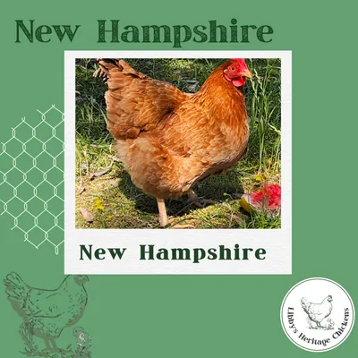 New Hampshire
