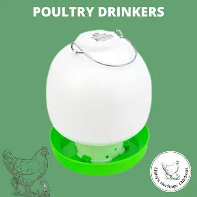 Poultry Drinkers