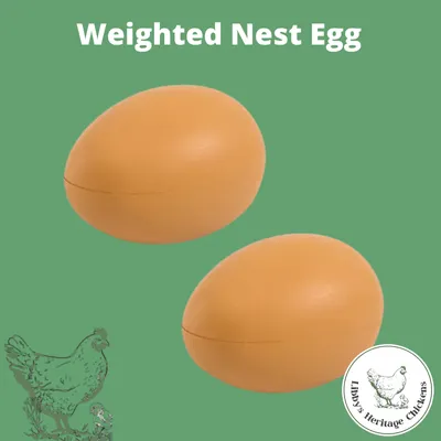 Weighted Nest Egg