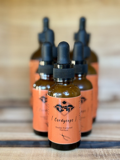 Cordyceps Double Extracted Tincture