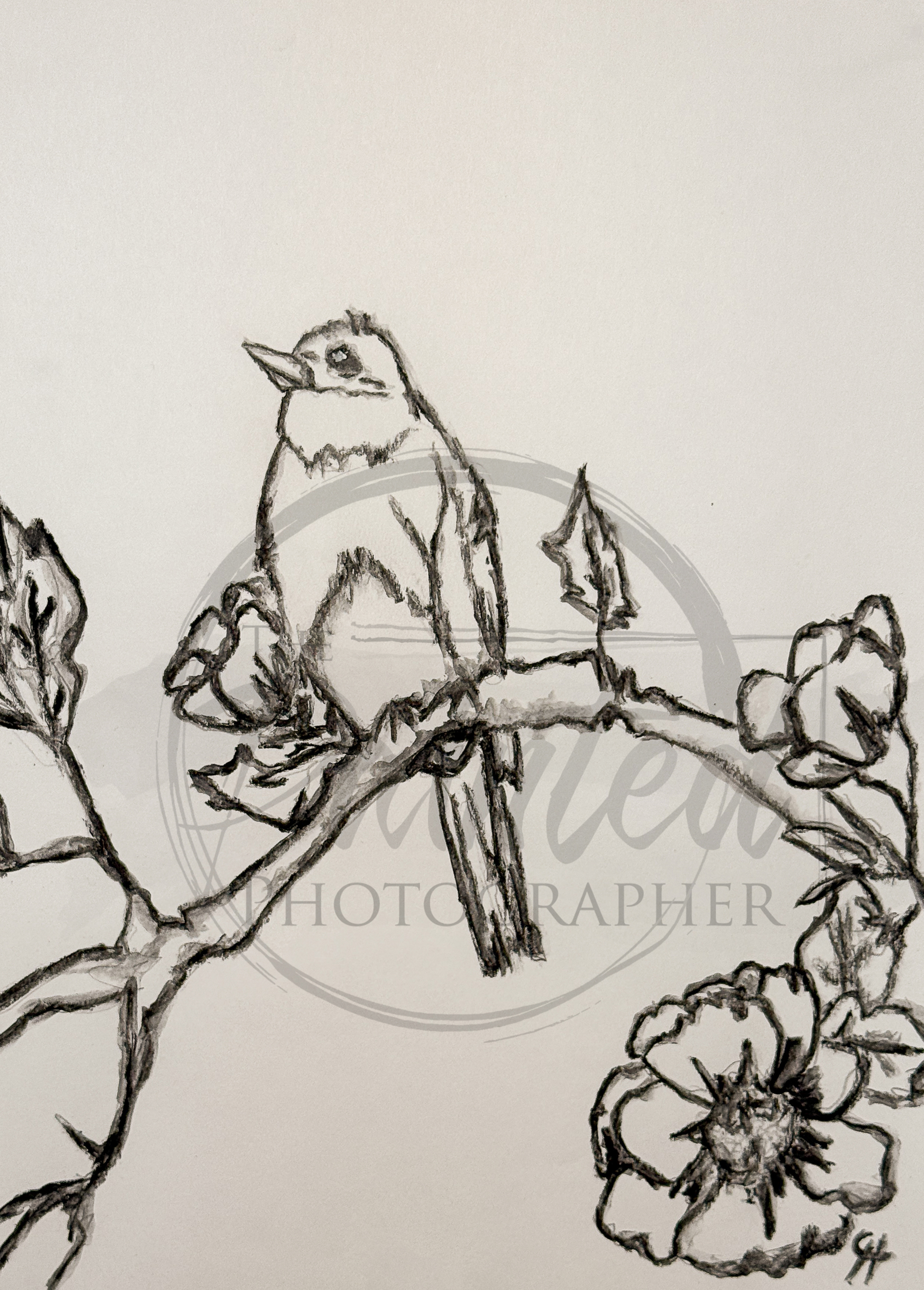 Whispering Spring - No Color - Rice Paper