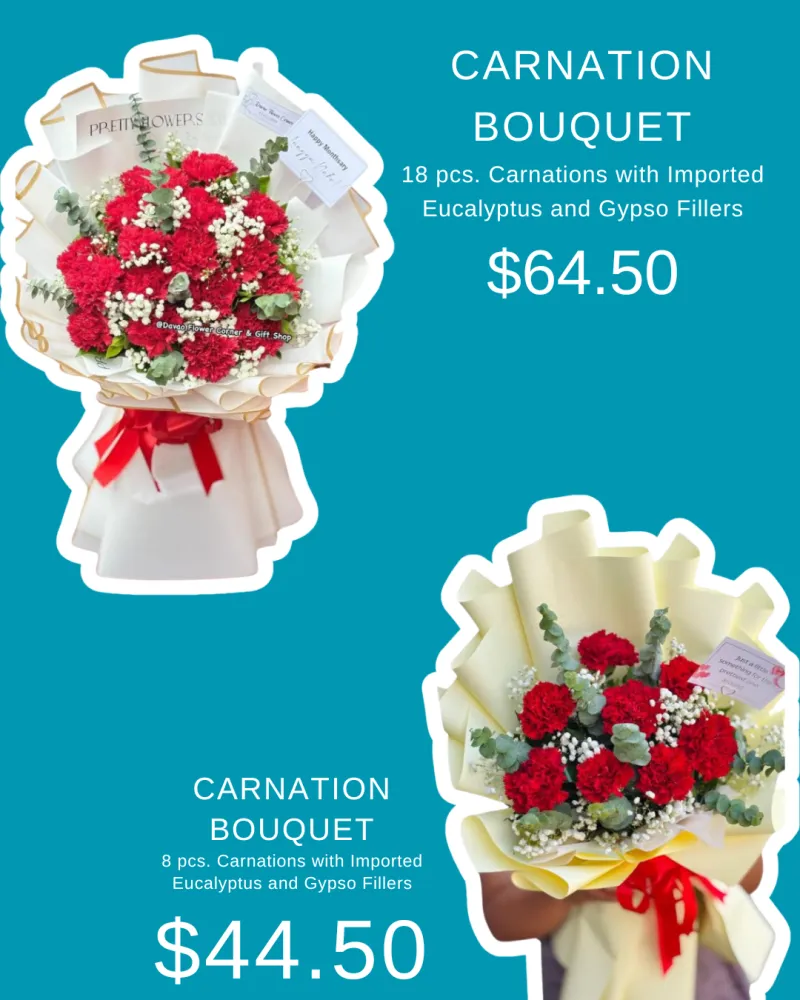 CARNATION BOUQUET