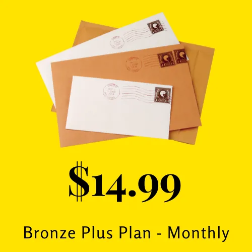 Bronze Plus - Monthly Plan