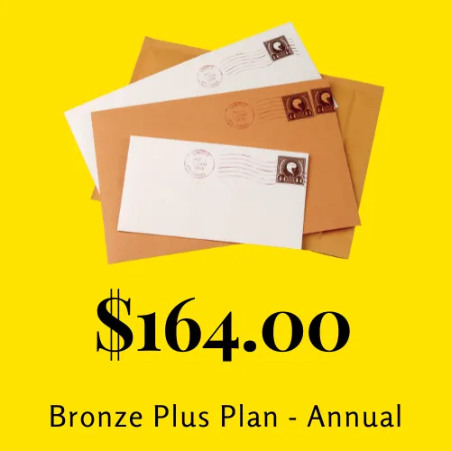 Bronze Plus - Annual Plan