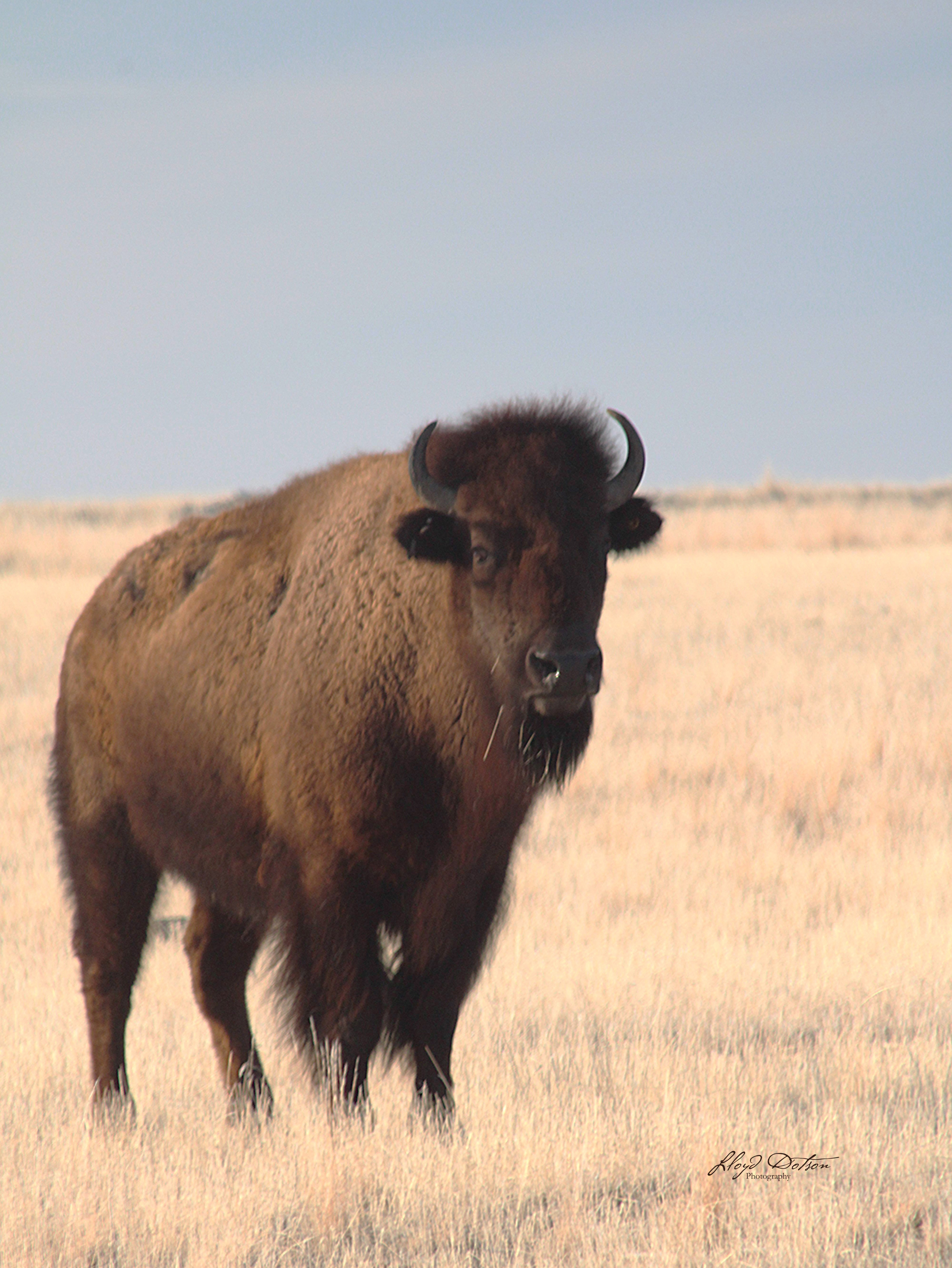 ecommerce.upsell.product_image_alt