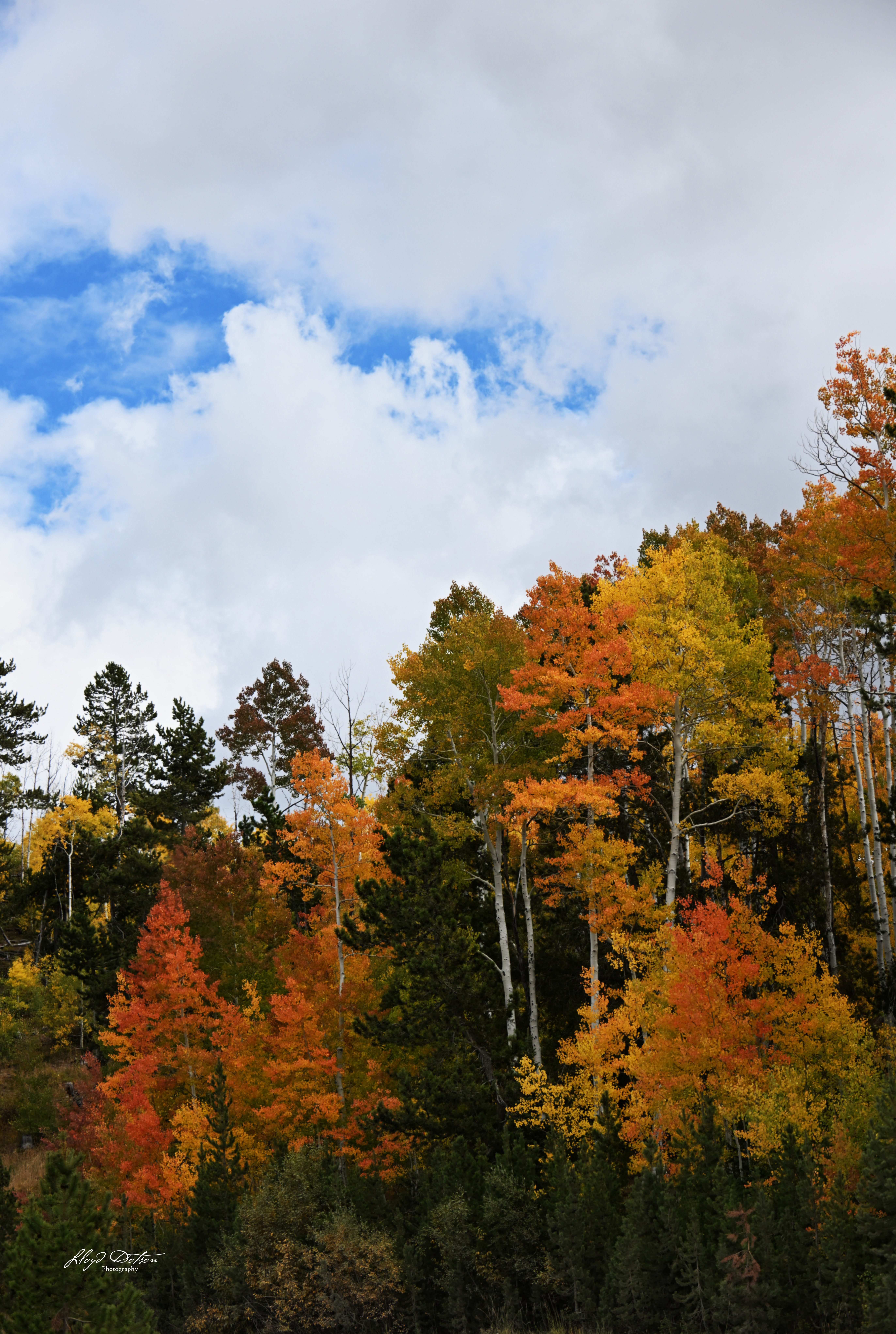 ecommerce.upsell.product_image_alt