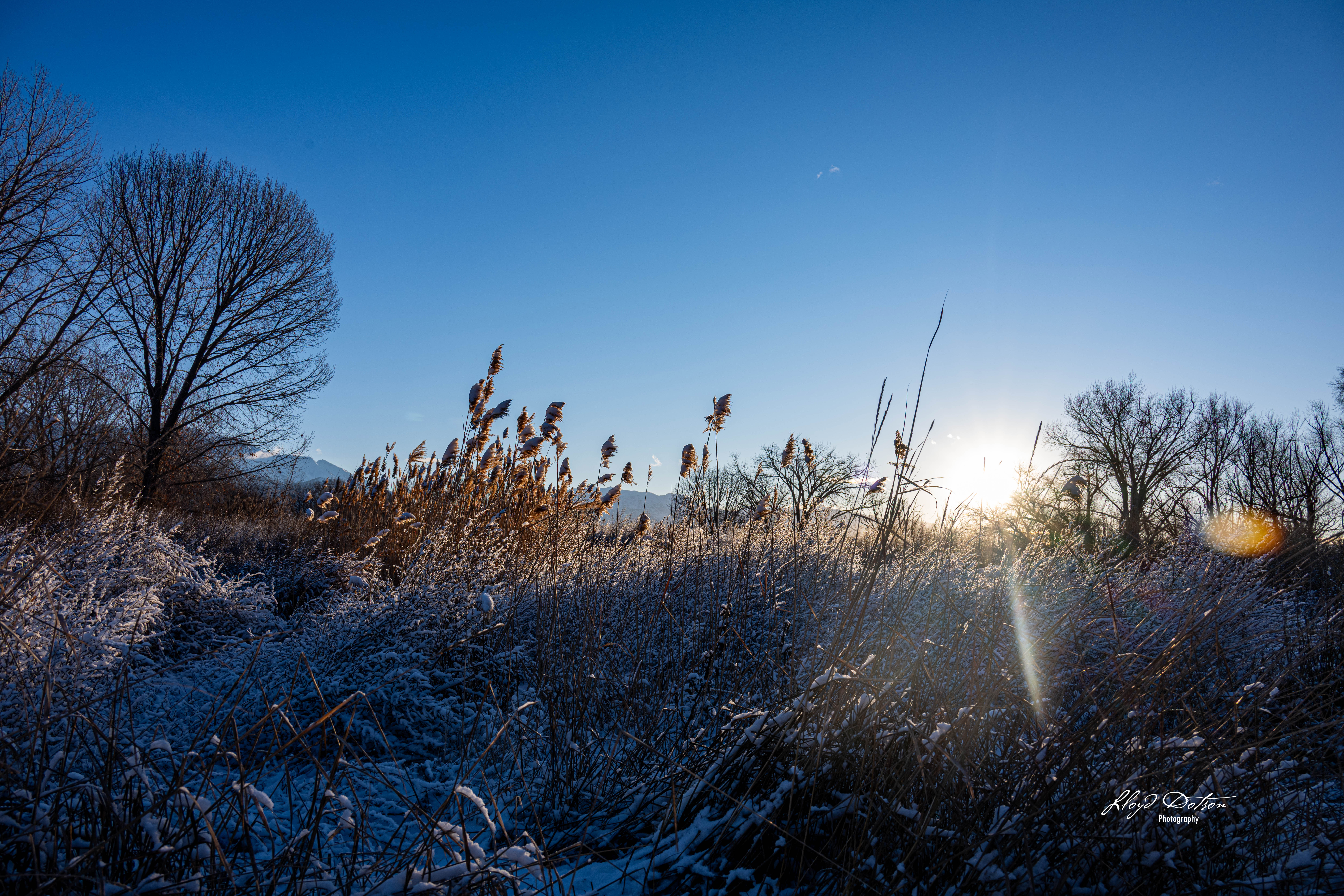 ecommerce.upsell.product_image_alt