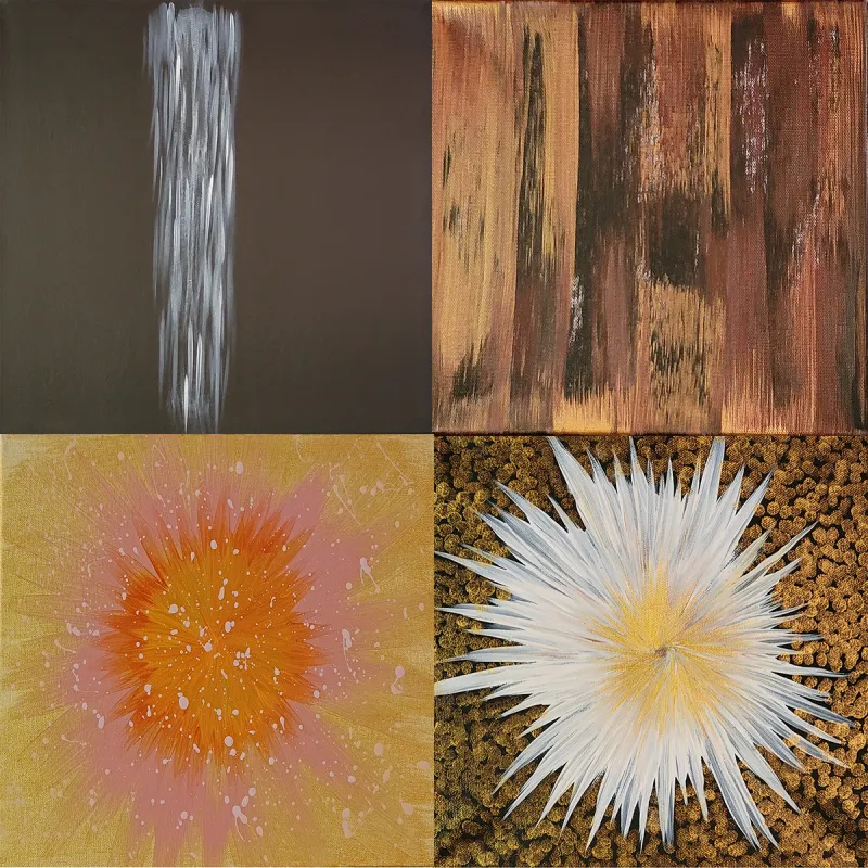 collection-image