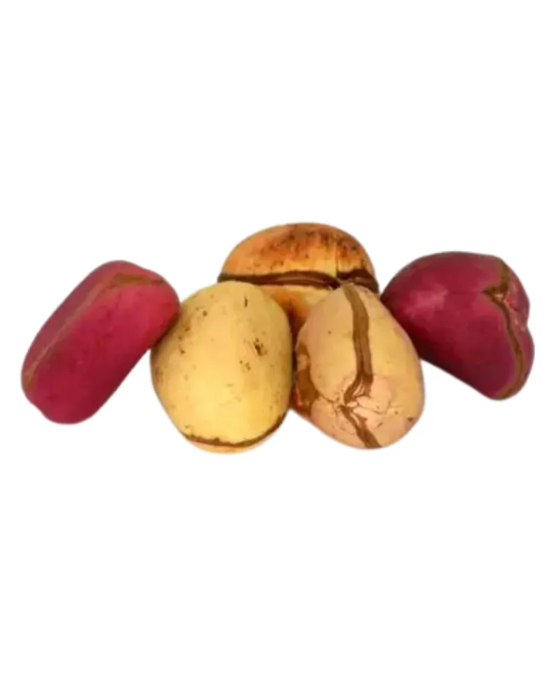 Kolanut
