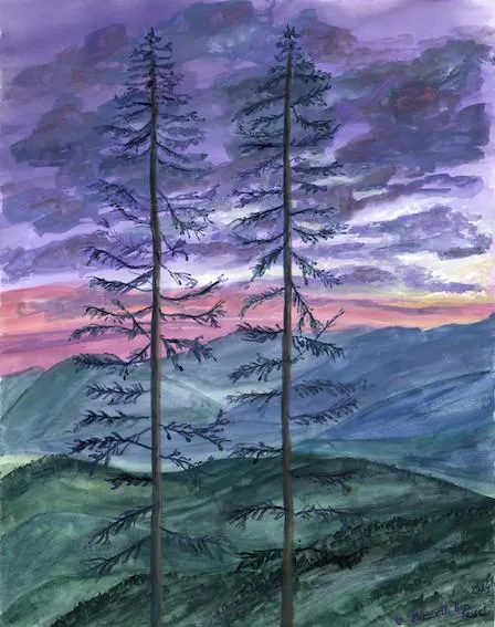 collection-image