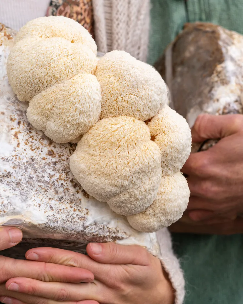 ecommerce.upsell.product_image_alt