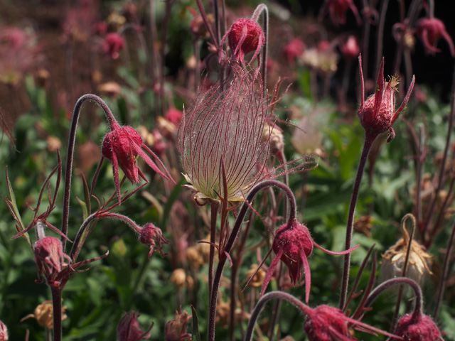 ecommerce.upsell.product_image_alt