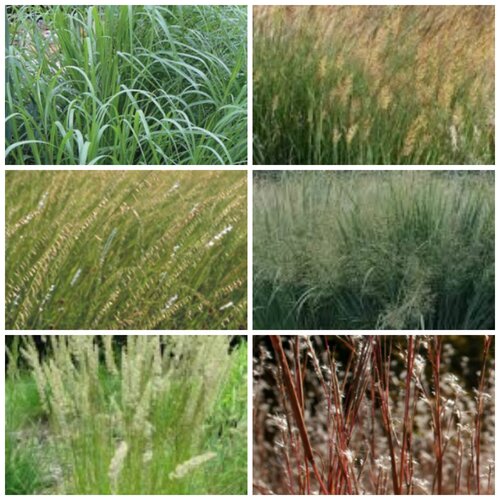 ecommerce.upsell.product_image_alt