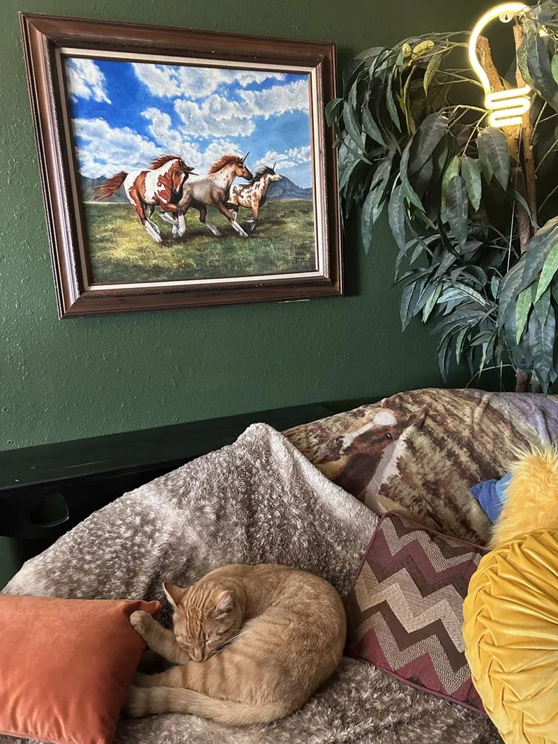 Wild Unicorns