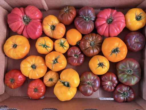 Heirloom Tomatoes
