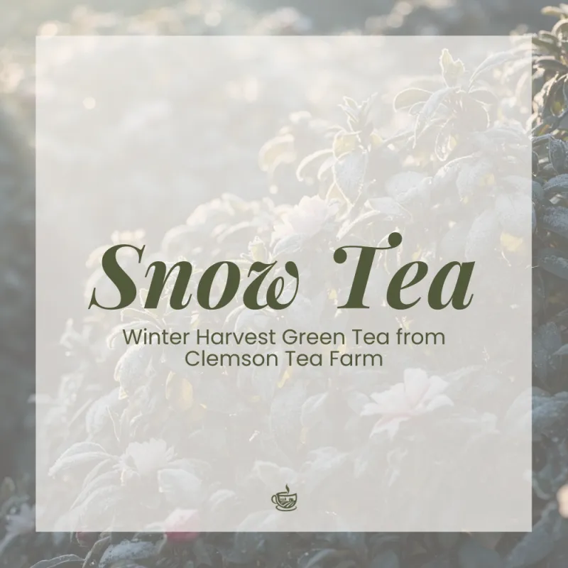 ecommerce.upsell.product_image_alt