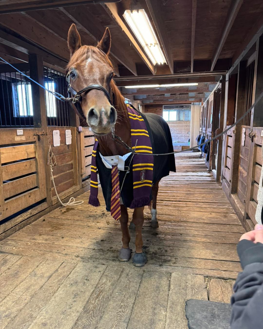 ecommerce.upsell.product_image_alt