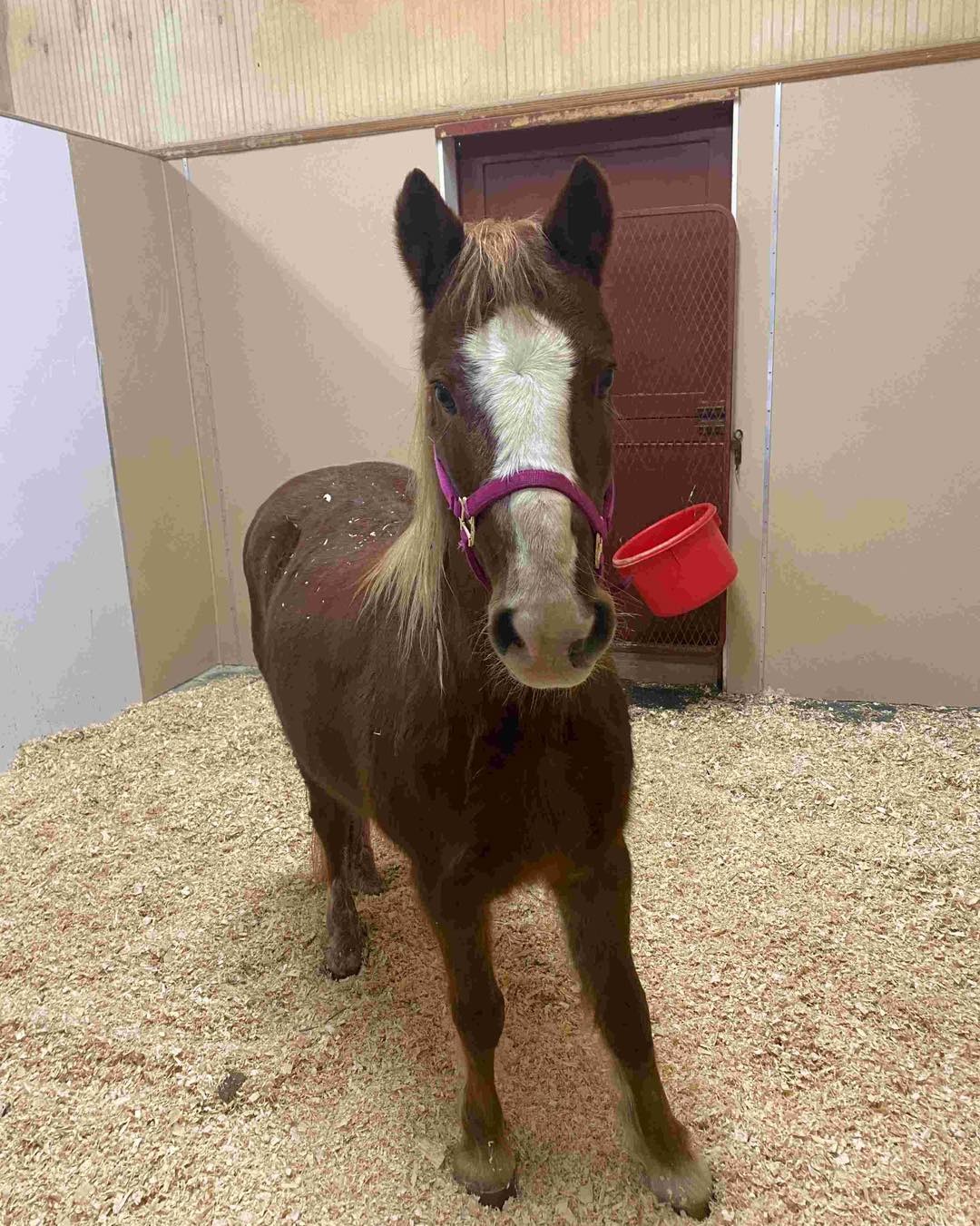 ecommerce.upsell.product_image_alt