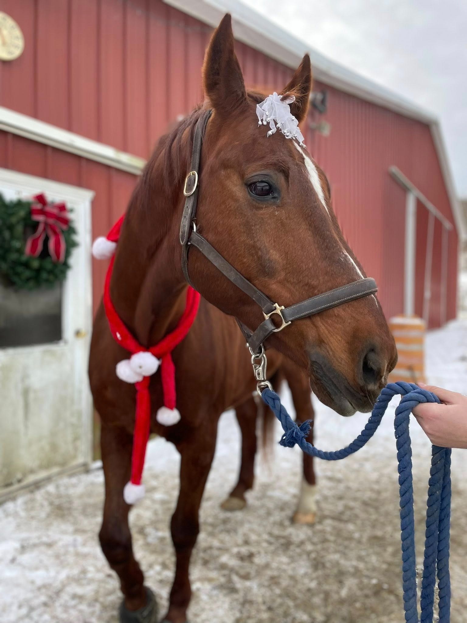 ecommerce.upsell.product_image_alt