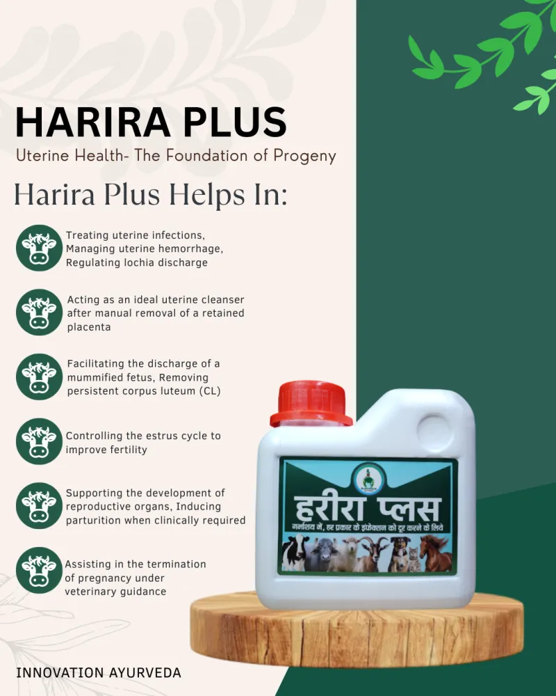 HARIRA PLUS 
