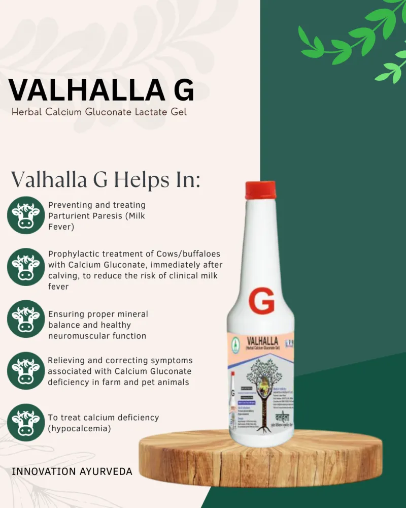 VALHALLA G 