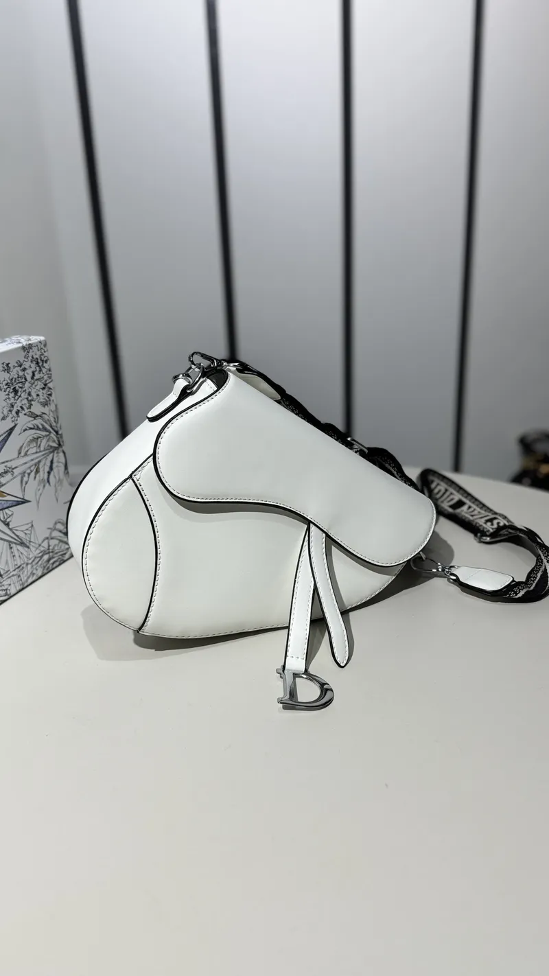 Dior Saddle Super Master White with Package 