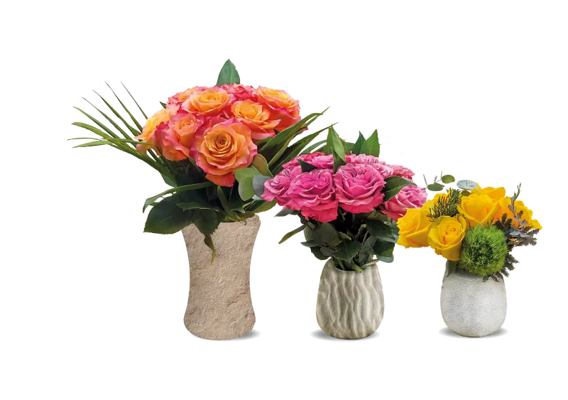 collection-image