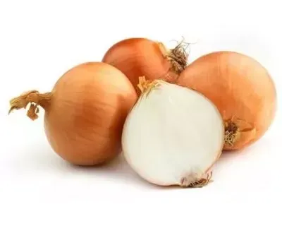 Cipolla Gialla