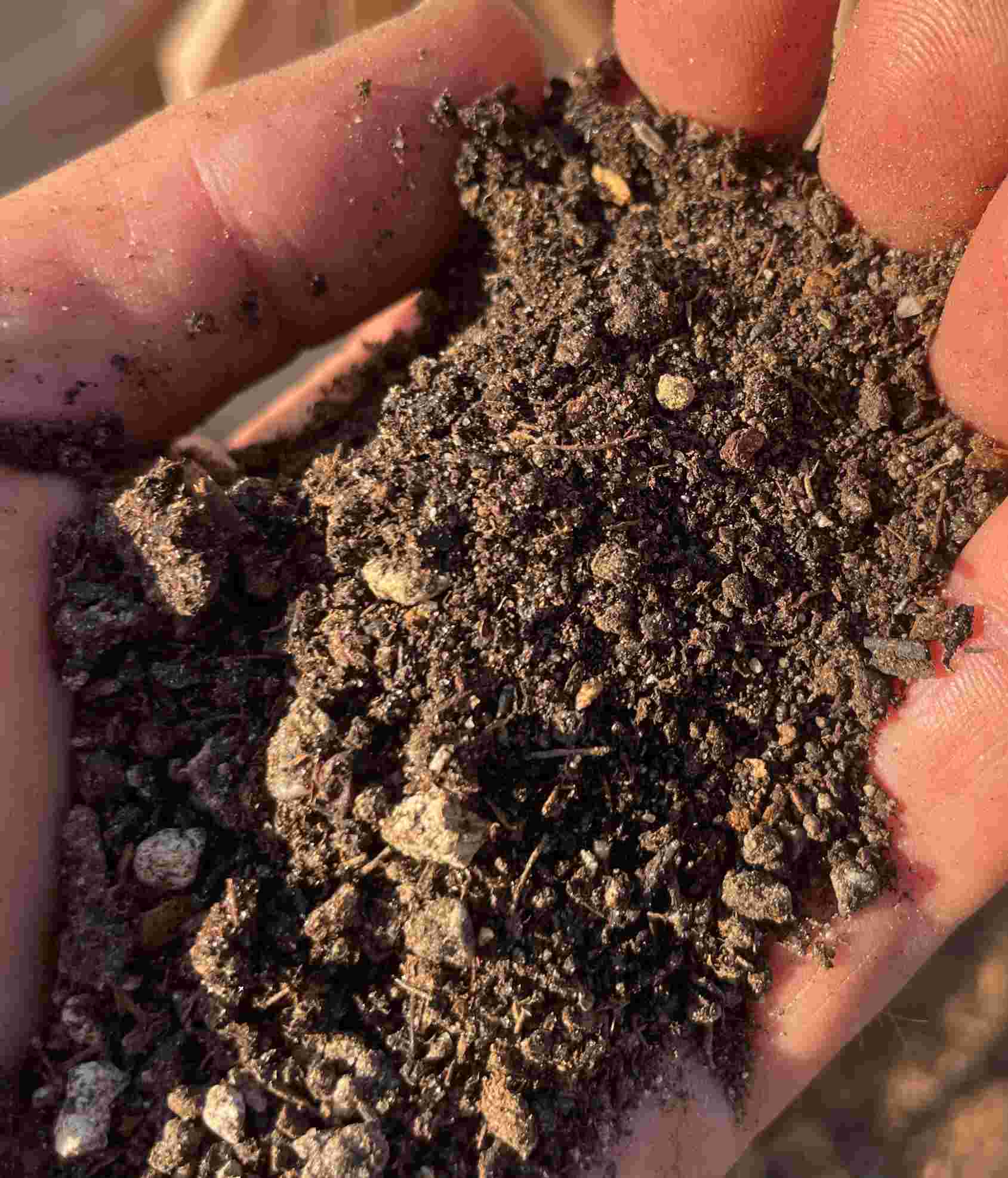 ecommerce.upsell.product_image_alt