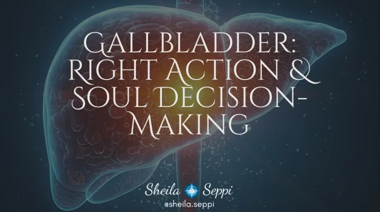 ecommerce.upsell.product_image_alt