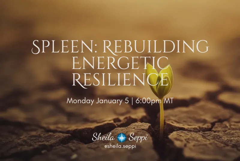 ecommerce.upsell.product_image_alt