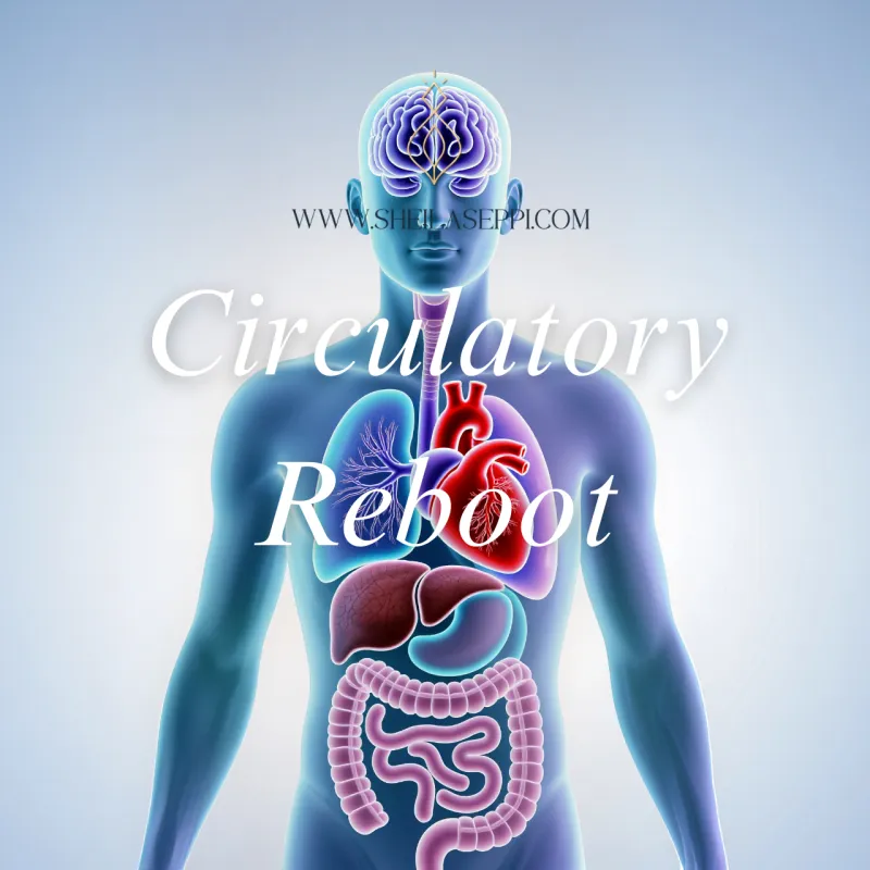Circulatory Reboot