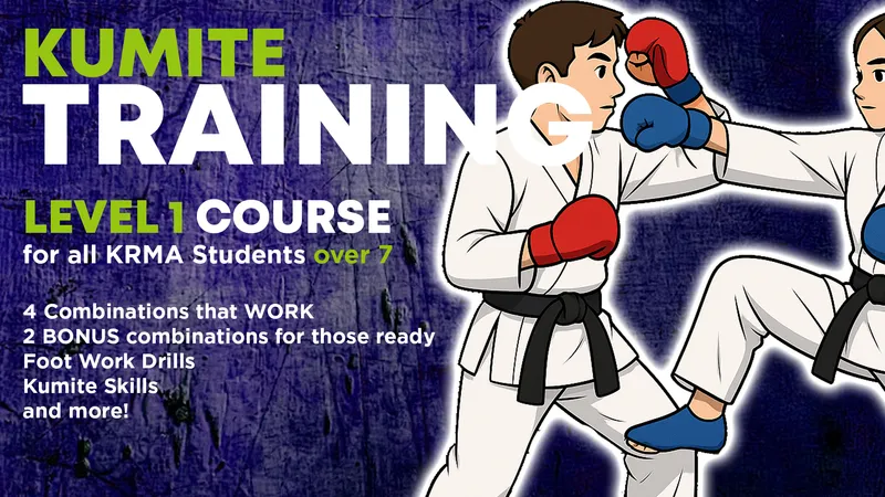 Kumite Training – Level 1 Seminar