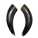 10″ Bull Horns
